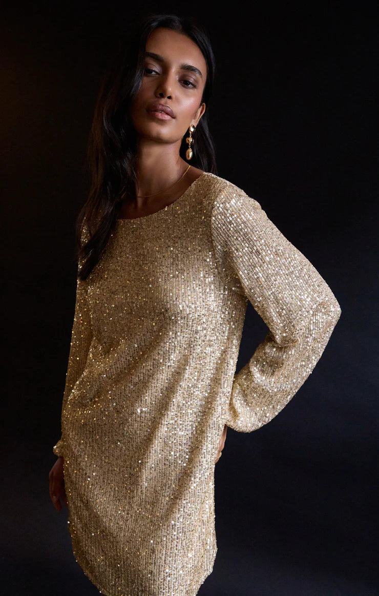 Andromeda Sequin Dress